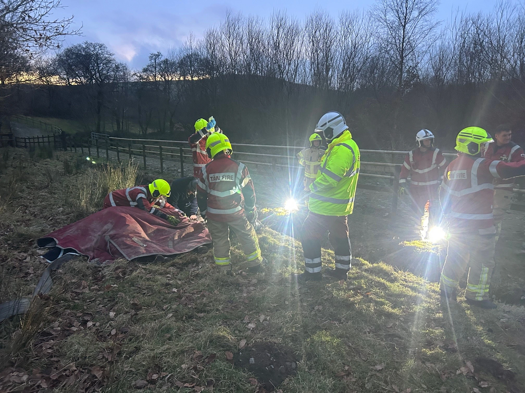 Lampeter Horse Rescue 03