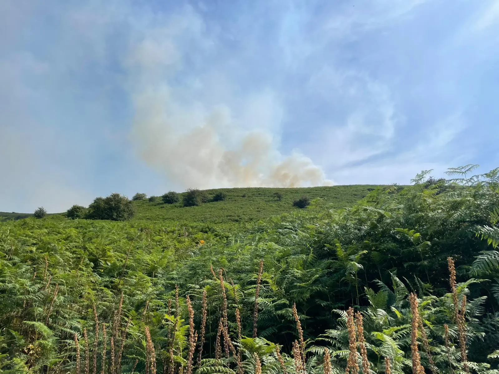 Llangorse Grass Fire 02