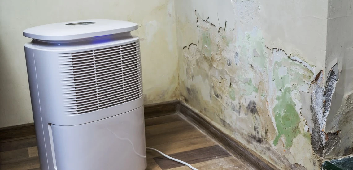 Dehumidifier