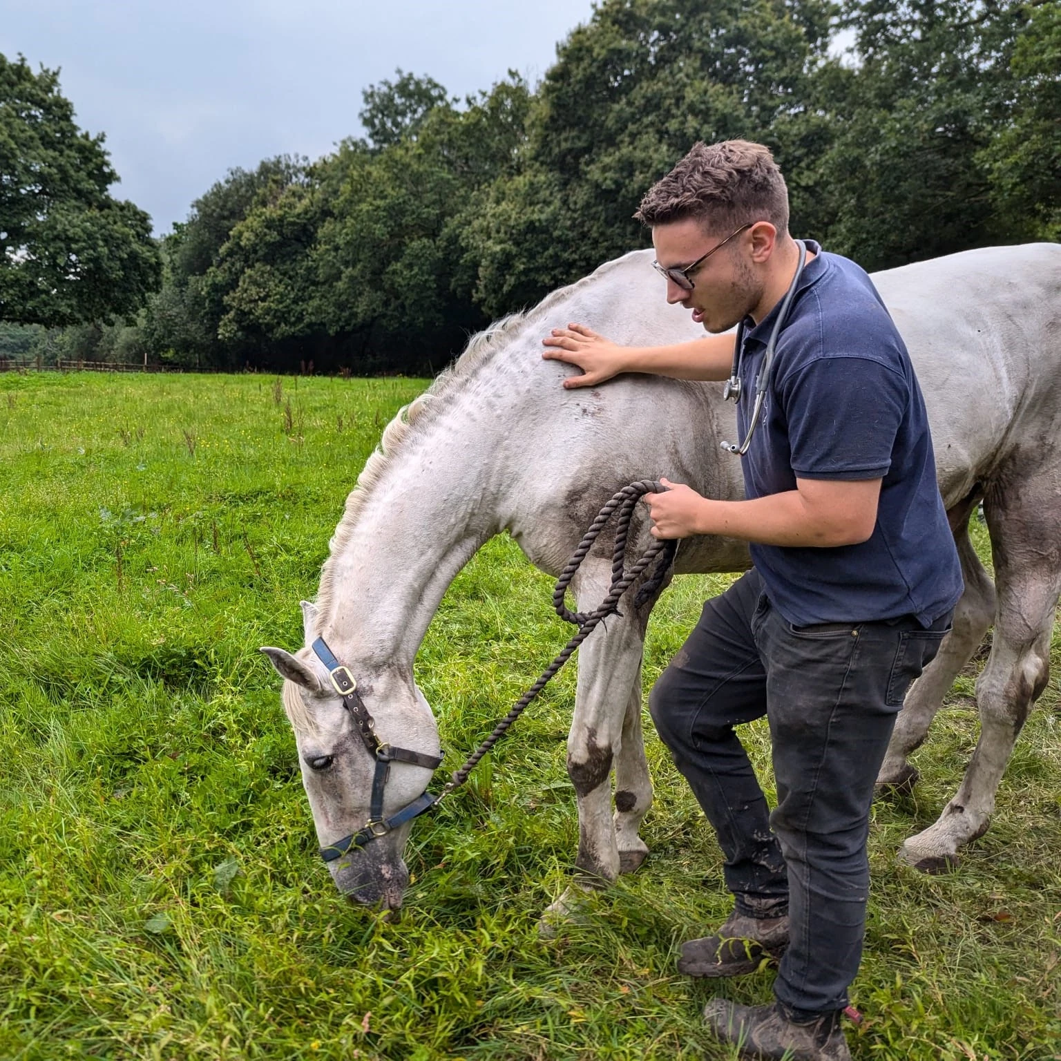 Horse Rescue 03