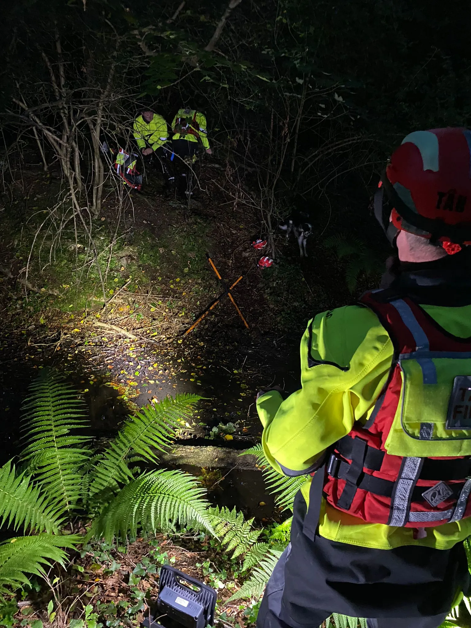 Withybush Woods Rescue 02
