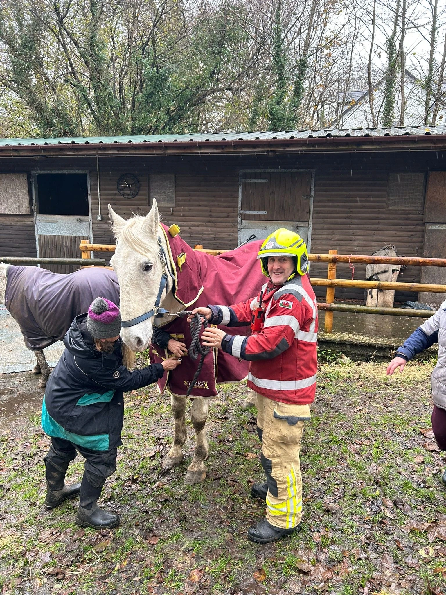 Horse Rescue 04