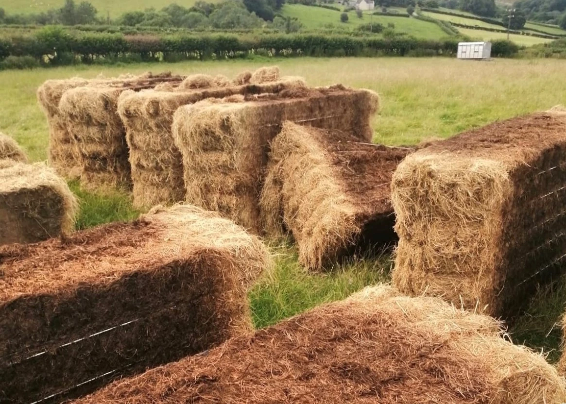 Builth Hay Bales 09 Crop