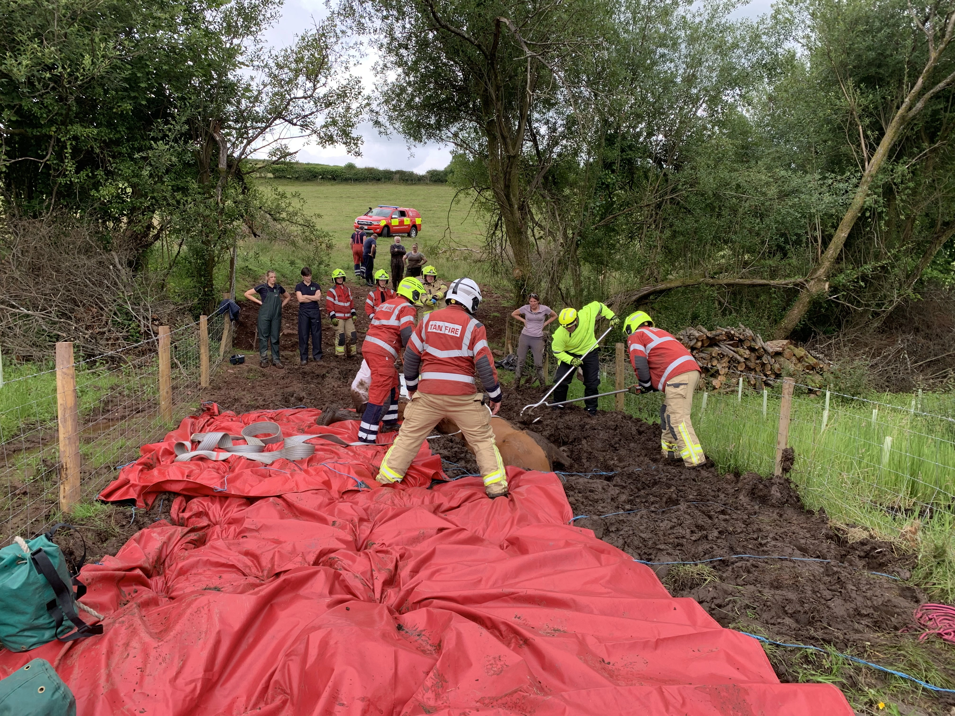 Brecon Horse Rescue 02 MAWWFRS