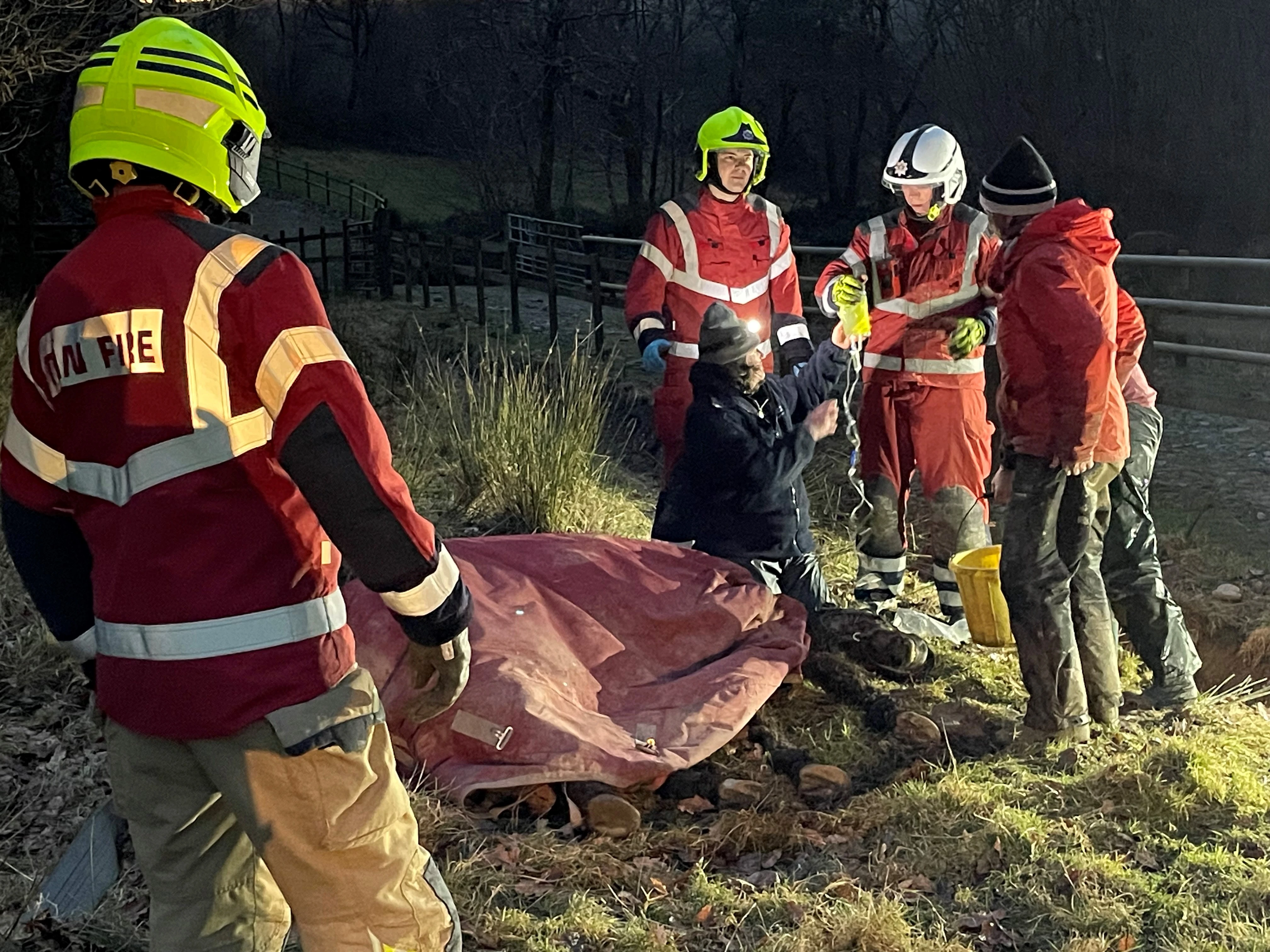 Lampeter Horse Rescue 01
