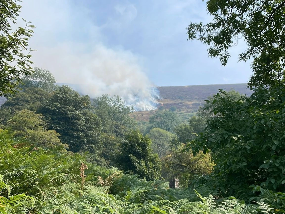 Llangorse Grass Fire 03