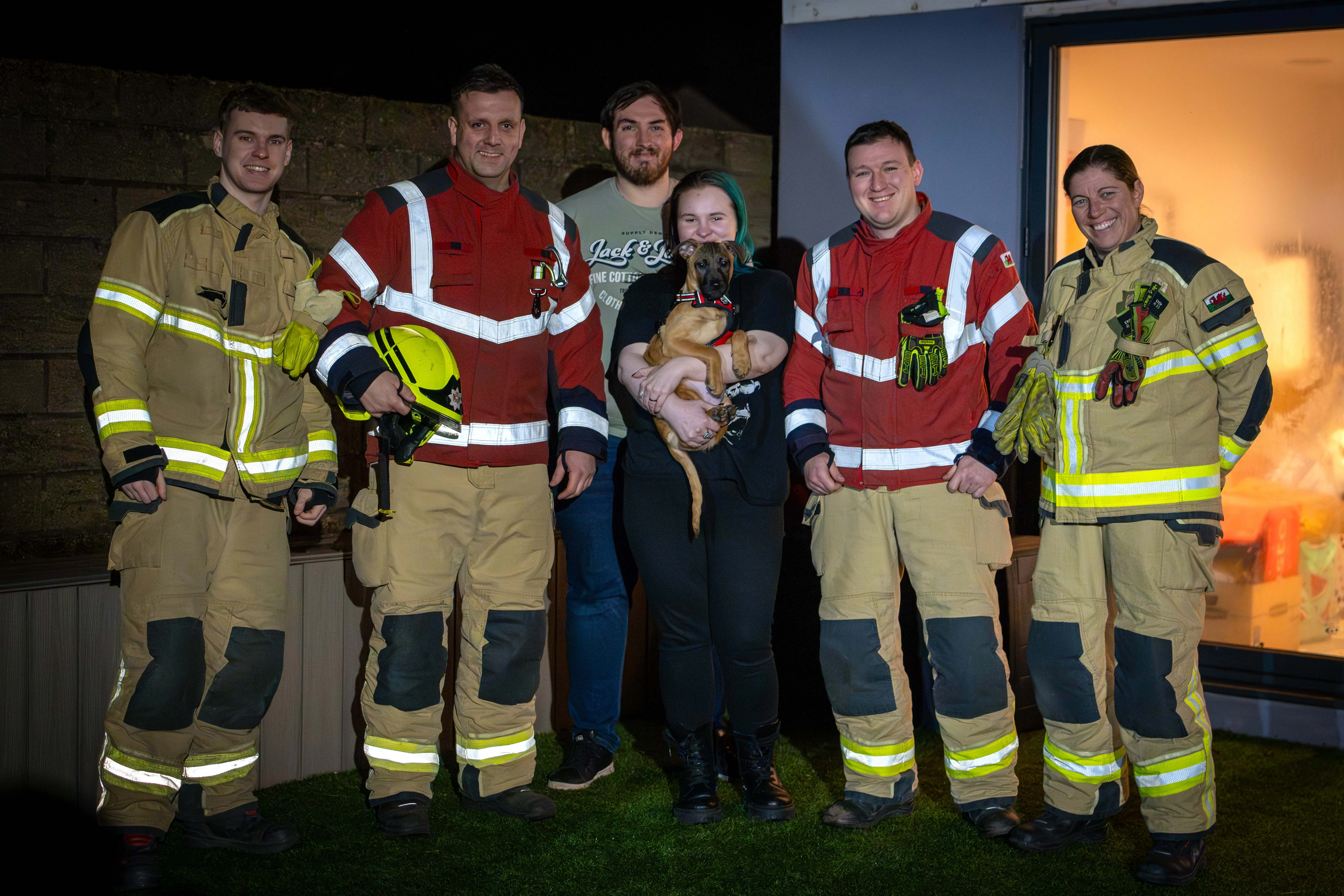 Dog Rescue 01