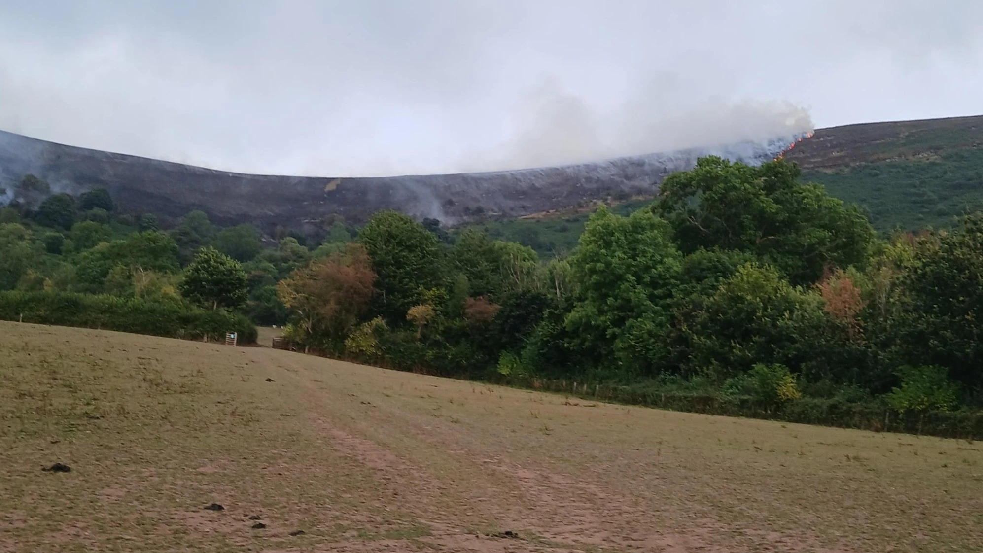 Llangorse Grass Fire 01
