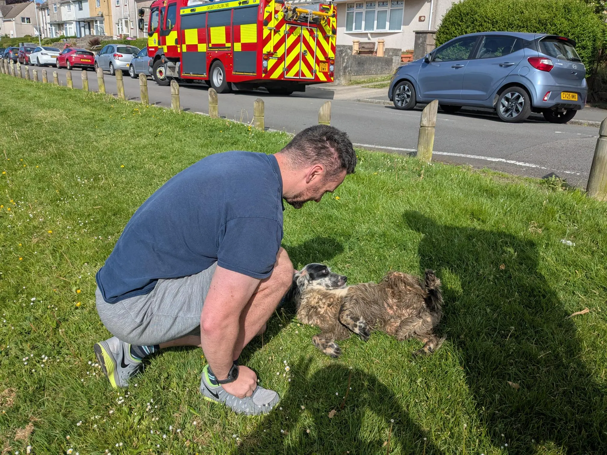 Swansea Dog Rescue 04